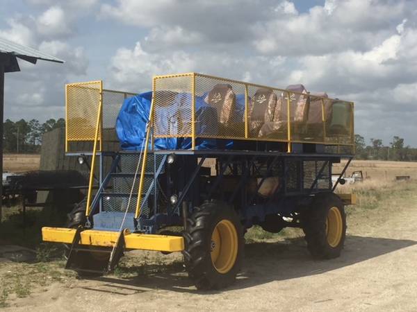 Swamp Buggy for Sale - (FL)